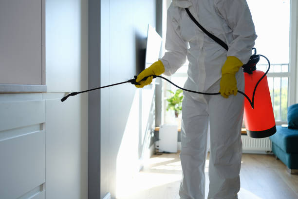 Best Mold Removal and Inspection  in Scotia, NY